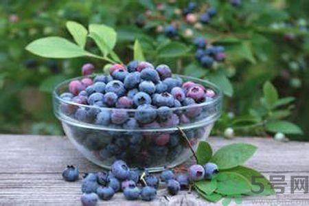 蓝莓是热性还是凉性?蓝莓是凉性吗? 蓝莓是热性还是凉性?蓝莓是凉性吗?