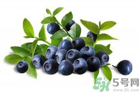 蓝莓是热性还是凉性?蓝莓是凉性吗? 蓝莓是热性还是凉性?蓝莓是凉性吗?