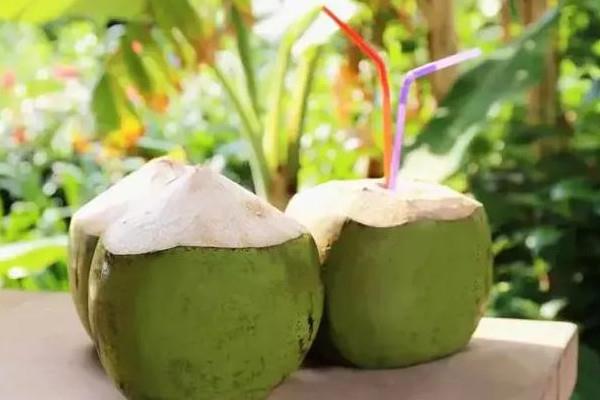 椰青加热后还有营养吗 椰青汁是透明的吗 椰青加热后还有营养吗 椰青汁是透明的吗