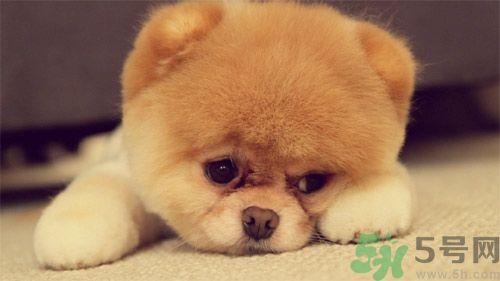 睡觉能戴手表吗?睡觉不能带的东西有哪些? 睡觉能戴手表吗?睡觉不能带的东西有哪些?