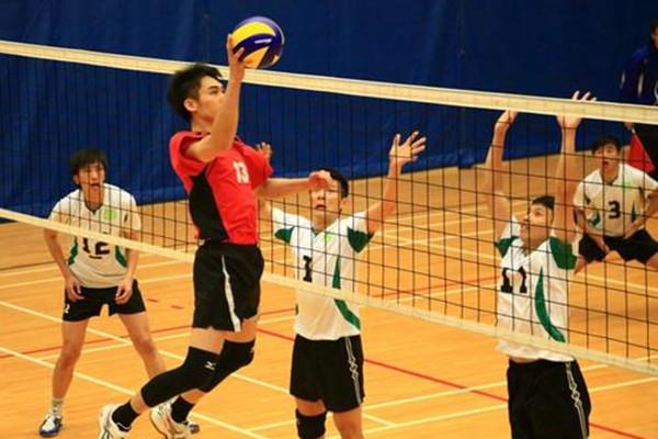 初学者练排球要戴护腕吗 打排球戴护腕能减轻疼痛吗 初学者练排球要戴护腕吗 打排球戴护腕能减轻疼痛吗