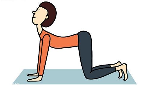 做什么伸展运动能缓解腰痛 做什么伸展运动能缓解腰痛