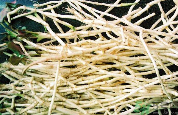 1459323688109380.jpg 压大柳塔 033.jpg