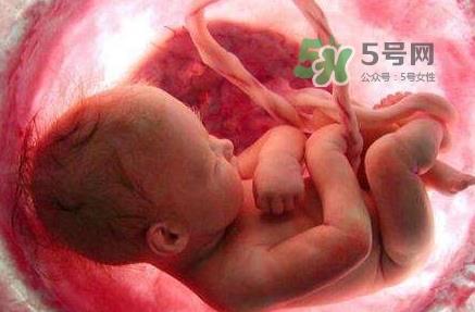 胎儿什么时候入盆?胎儿入盆后胎动会减少吗? 胎儿什么时候入盆?胎儿入盆后胎动会减少吗?