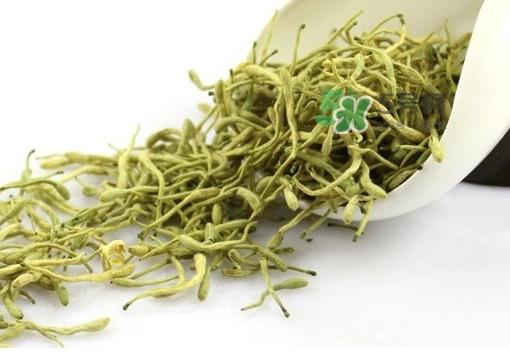 金银花茶是去火的吗?金银花茶有什么功效与作用 金银花茶是去火的吗?金银花茶有什么功效与作用