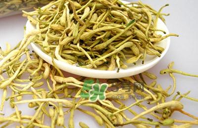 金银花茶是去火的吗?金银花茶有什么功效与作用 金银花茶是去火的吗?金银花茶有什么功效与作用