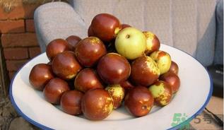 吃冬枣会上火吗?冬枣吃多了有什么坏处? 吃冬枣会上火吗?冬枣吃多了有什么坏处?