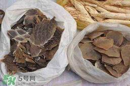 穿山甲下奶怎么吃?穿山甲下奶效果好吗? 穿山甲下奶怎么吃?穿山甲下奶效果好吗?