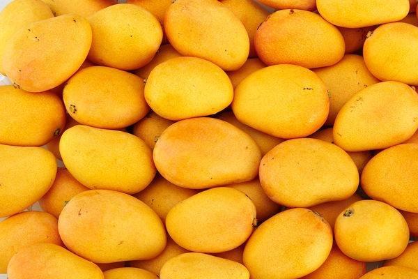 芒果捏软了还能吃吗 时间一长就会发烂 芒果捏软了还能吃吗 时间一长就会发烂