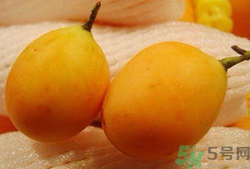 枇杷和芒果能一起吃吗?枇杷和芒果的区别 枇杷和芒果能一起吃吗?枇杷和芒果的区别