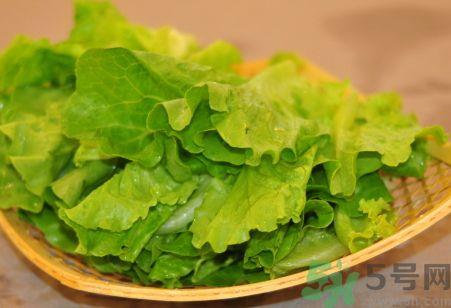 生菜怎么保存?生菜怎么保鲜? 生菜怎么保存?生菜怎么保鲜?