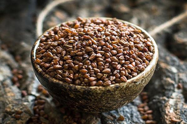 苦荞茶会失眠吗 苦荞茶会不会上火 苦荞茶会失眠吗 苦荞茶会不会上火