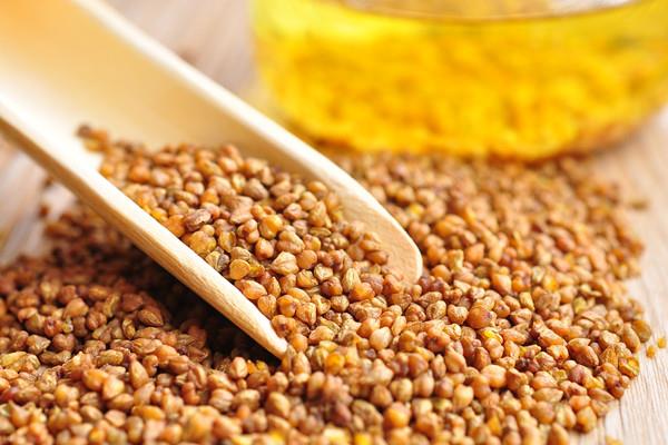 苦荞茶会失眠吗 苦荞茶会不会上火 苦荞茶会失眠吗 苦荞茶会不会上火