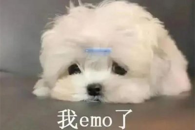 ​冤种姐妹是什么意思网络用语 网络用语by是什么意思