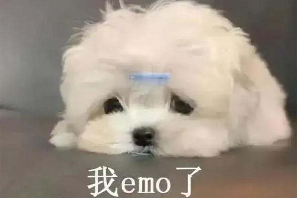 冤种姐妹是什么意思网络用语 网络用语by是什么意思 冤种姐妹是什么意思网络用语 网络用语by是什么意思