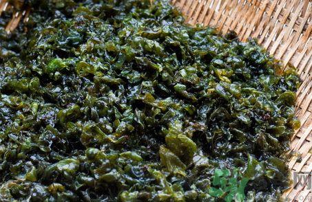 地皮菜要焯水吗?地皮菜怎么焯水? 地皮菜要焯水吗?地皮菜怎么焯水?