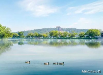 ​浣溪沙苏轼诗意和思想感情（《浣溪沙》给人不同的感受）