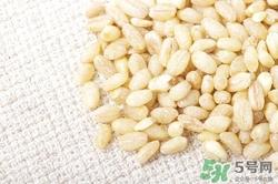 麦仁怎么做好吃?麦仁的功效与作用 麦仁怎么做好吃?麦仁的功效与作用