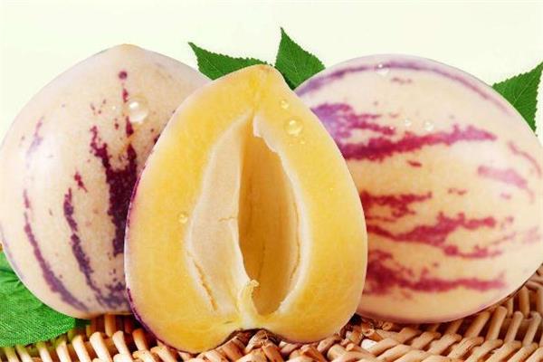 人参果不能和什么一起吃 人参果食用禁忌 人参果不能和什么一起吃 人参果食用禁忌