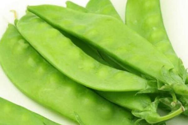 扁豆怎么挑选 扁豆怎么样算熟了 扁豆怎么挑选 扁豆怎么样算熟了