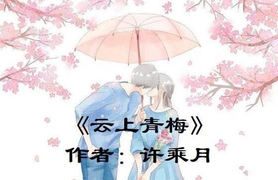 影视经典言情小说盘点（最好看的10本言情小说）  1