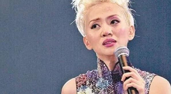 娱乐梅艳芳十大金曲排行榜(《胭脂扣》榜上第一名) 2