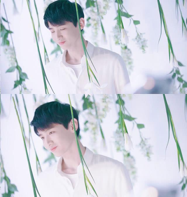 娱乐白敬亭乔欣新剧,宋妍霏和白敬亭是什么关系 2