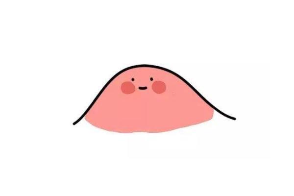 青春痘会长在哪些部位 青春痘会长在背上吗 青春痘会长在哪些部位 青春痘会长在背上吗