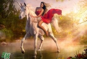 lime crime独角兽眼影多少钱?独角兽眼影专柜价格 lime crime独角兽眼影多少钱?独角兽眼影专柜价格