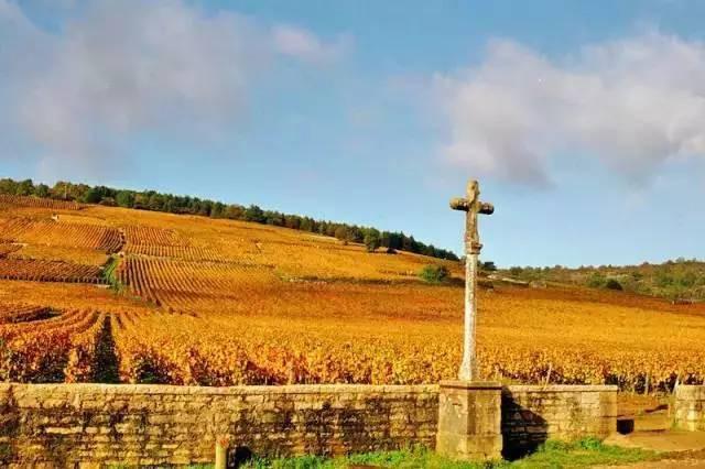 《美人鱼》里那瓶罗曼尼康帝要100万?它什么来头