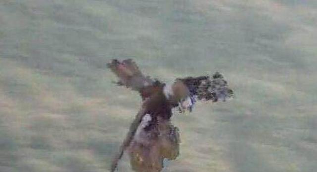 《西游记》中一古佛,预言过如来前身将成佛,帮过孙悟空大忙!