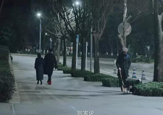 《动物管理局》到底有没有第二季第三季?官微上的三个字给出答案