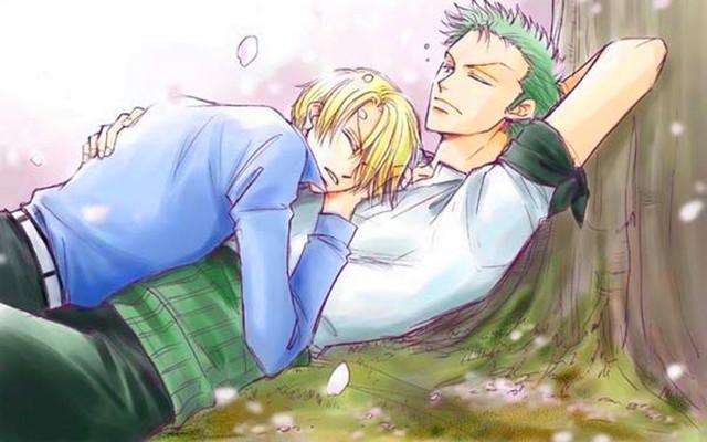 海贼王:罗宾的“最佳伴侣”究竟是谁?仅两人可供罗宾选择!