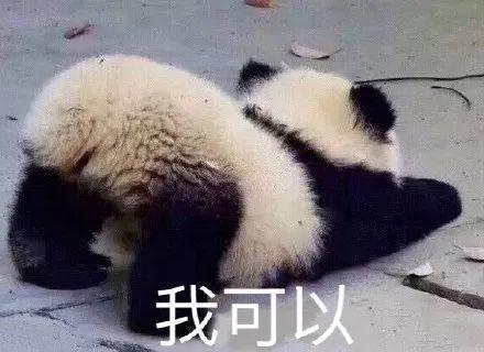 陈伟霆才是九亿少女的梦吧！