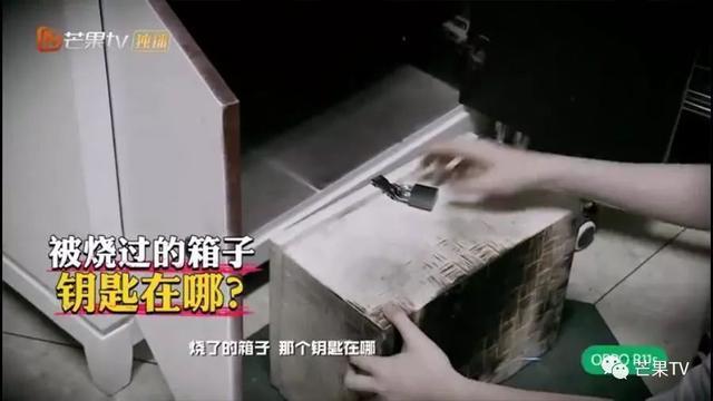 《明星大侦探》终章开启！大张伟斥巨资整容，何炅拉双眼皮变美！