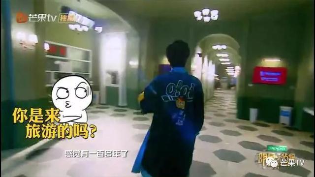 《明星大侦探》终章开启！大张伟斥巨资整容，何炅拉双眼皮变美！