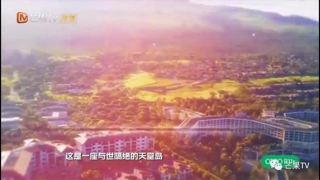 《明星大侦探》终章开启！大张伟斥巨资整容，何炅拉双眼皮变美！