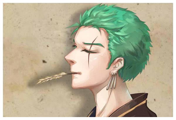 给你10个亿,选一种动漫人物发型,索隆还能接受,图4打死不要