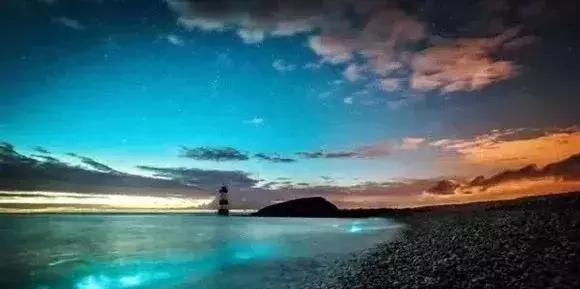 深圳惊现“荧光海”!宛如天际星河,美得醉人!