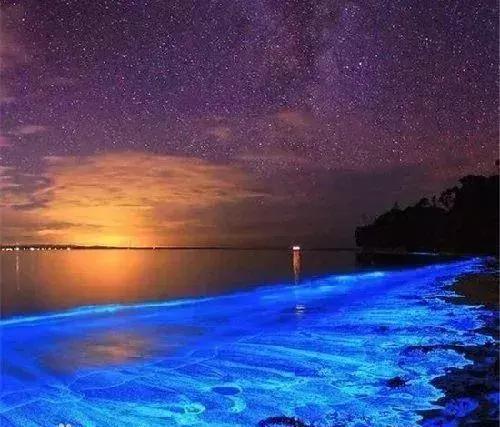 深圳惊现“荧光海”!宛如天际星河,美得醉人!