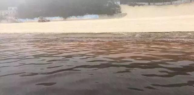 深圳惊现“荧光海”!宛如天际星河,美得醉人!