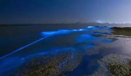 深圳惊现“荧光海”!宛如天际星河,美得醉人!