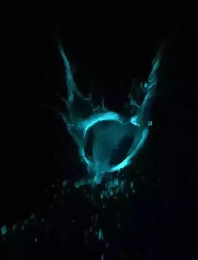 深圳惊现“荧光海”!宛如天际星河,美得醉人!