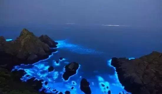 深圳惊现“荧光海”!宛如天际星河,美得醉人!