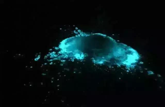 深圳惊现“荧光海”!宛如天际星河,美得醉人!