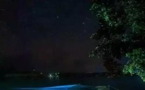 深圳惊现“荧光海”!宛如天际星河,美得醉人!