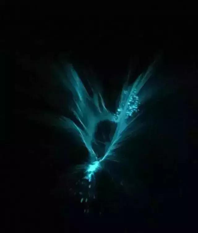 深圳惊现“荧光海”!宛如天际星河,美得醉人!