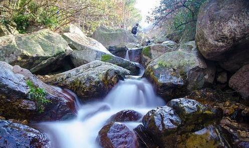 被称为“最美森林古道”，安徽这一千年古道，沿途风光惹人惊艳