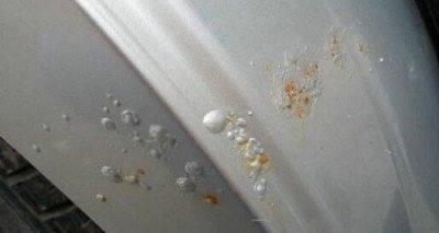 ​汽车喷漆一年了鼓了许多气泡怎么办