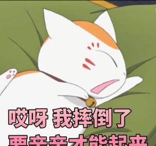​《夏目友人帐》猫咪老师的表情包，女朋友看到心都萌化了！拿不谢